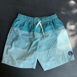 Chubbies Men’s Swim Trunks, Size Small, 7”  Inseam